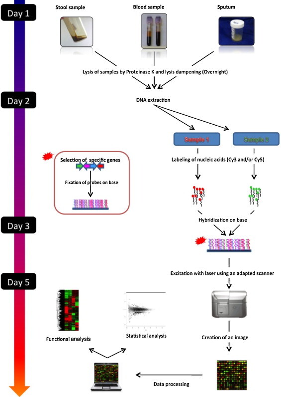 Fig. 2