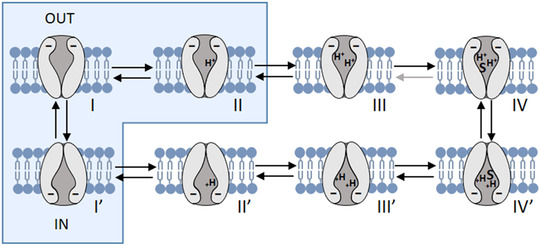 Figure 12