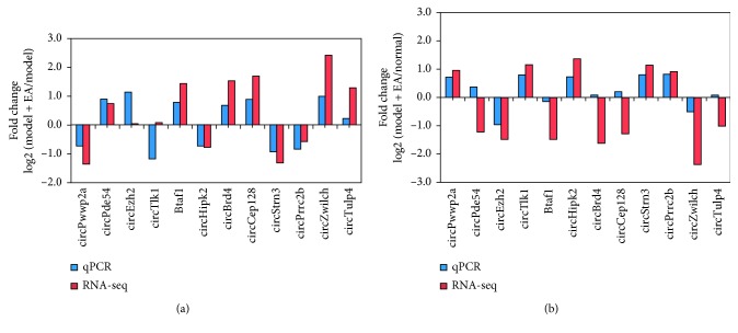 Figure 7