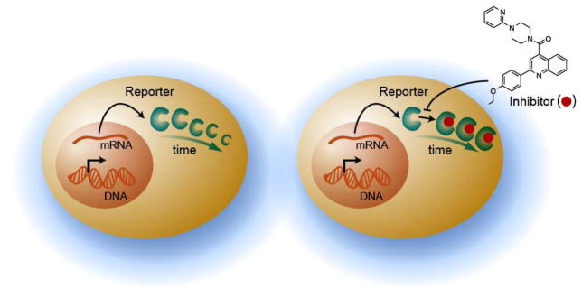 Fig (3)