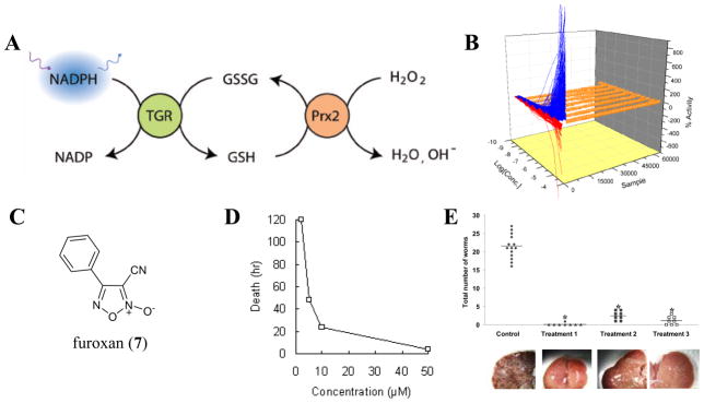 Fig (8)