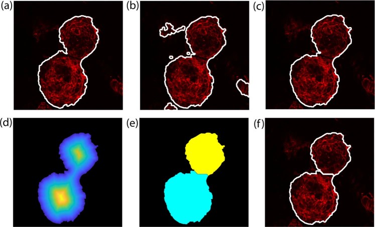 Figure 6