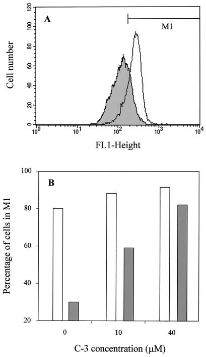 FIG. 5