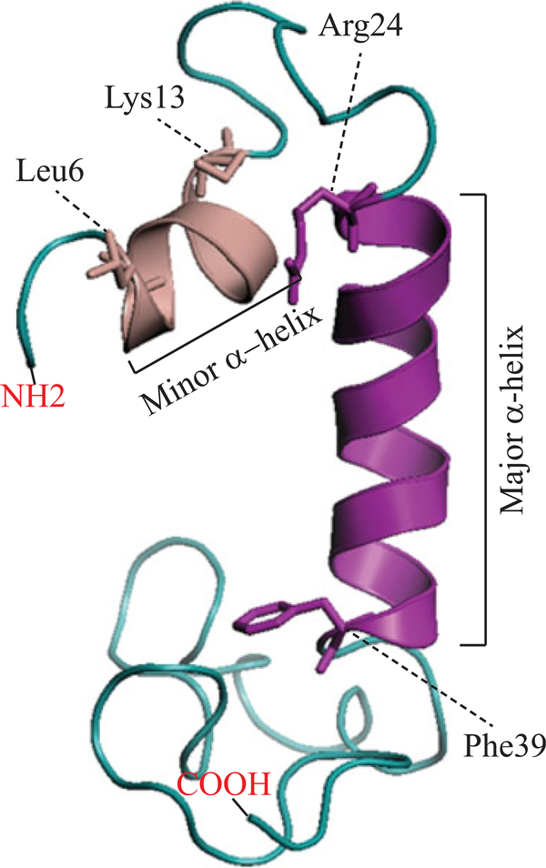 FIGURE 3