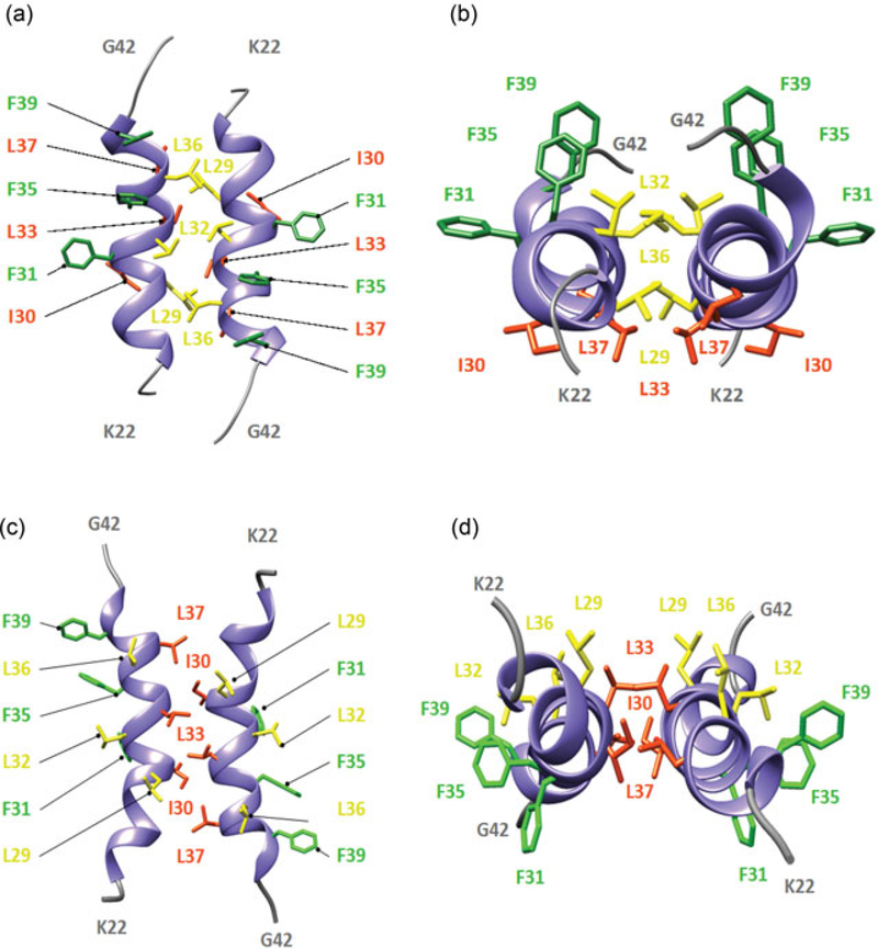 FIGURE 4