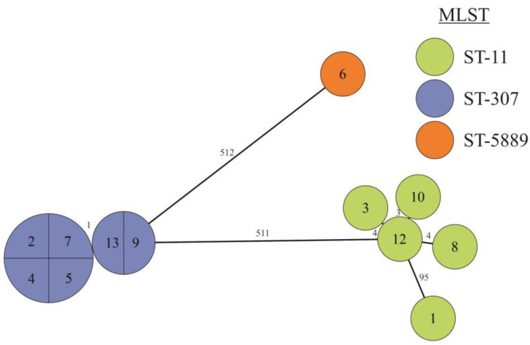 Figure 7