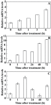 Fig. 4.