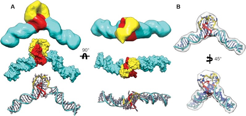 Figure 4.