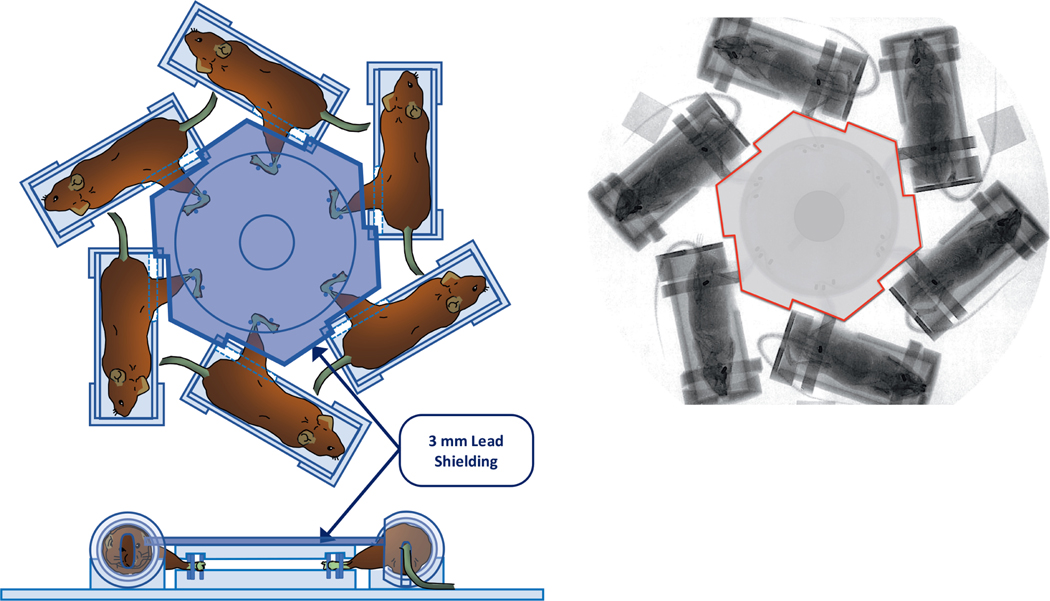 FIG. 1.