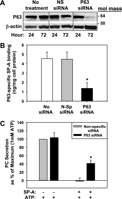 Fig. 11.