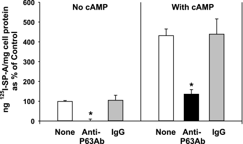 Fig. 10.