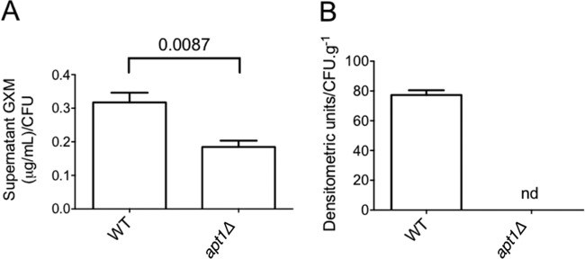 FIG 6