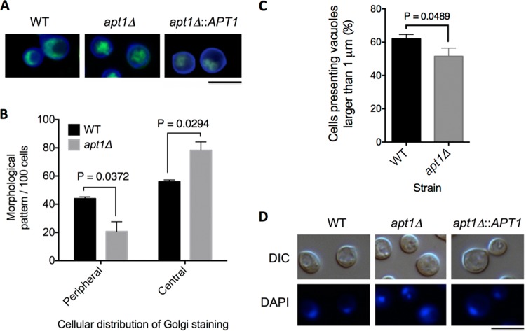 FIG 2