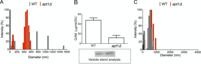 FIG 5