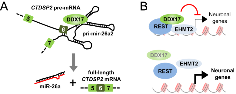 Figure 6.