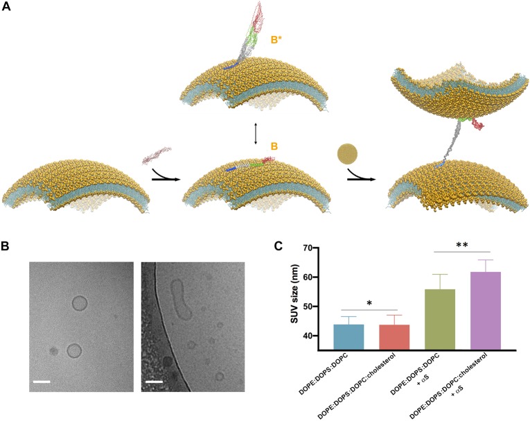 FIGURE 3