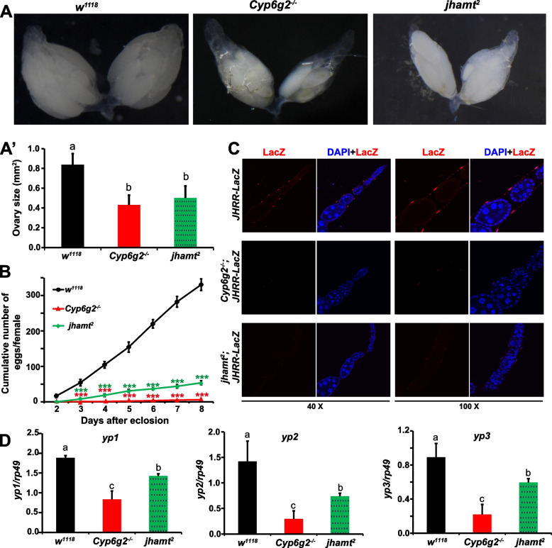 Fig. 3