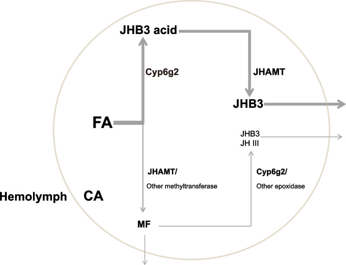 Fig. 6