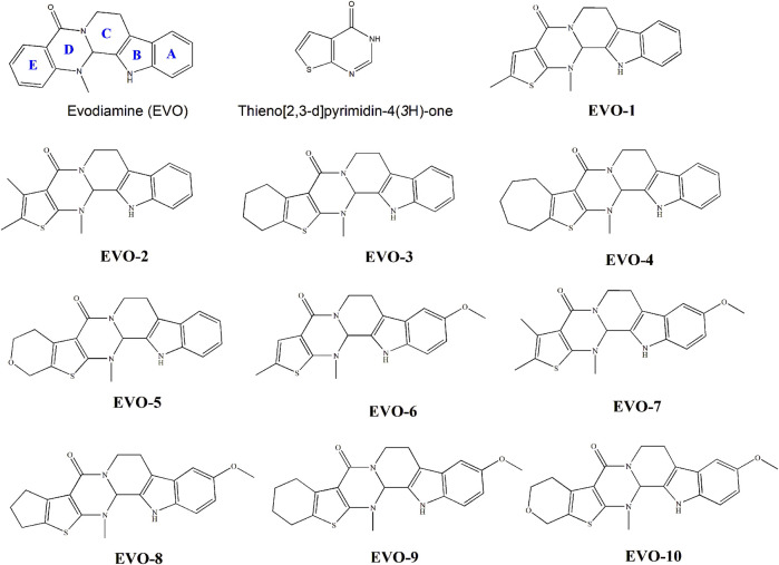 FIGURE 1