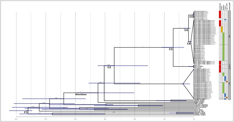 Fig 1