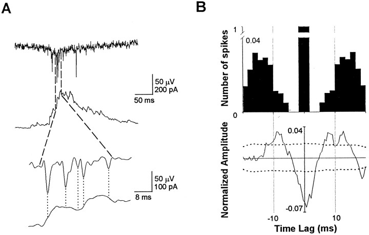 Fig. 6.