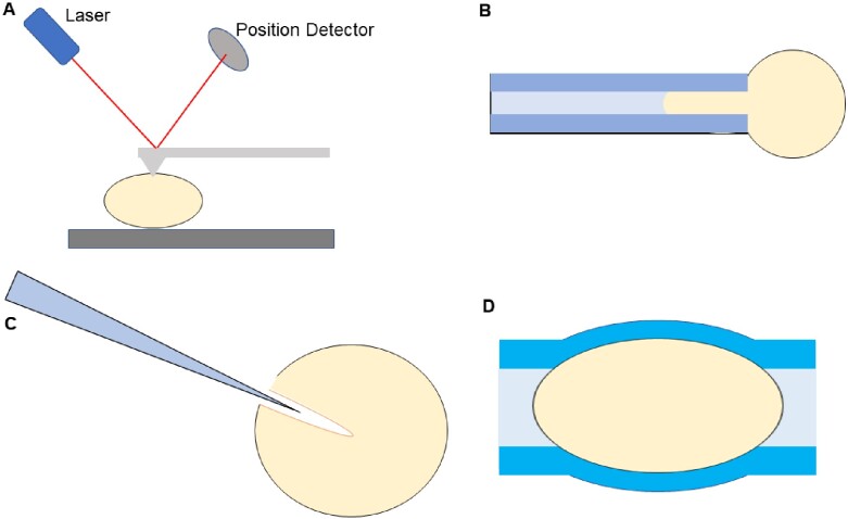 Figure 2.