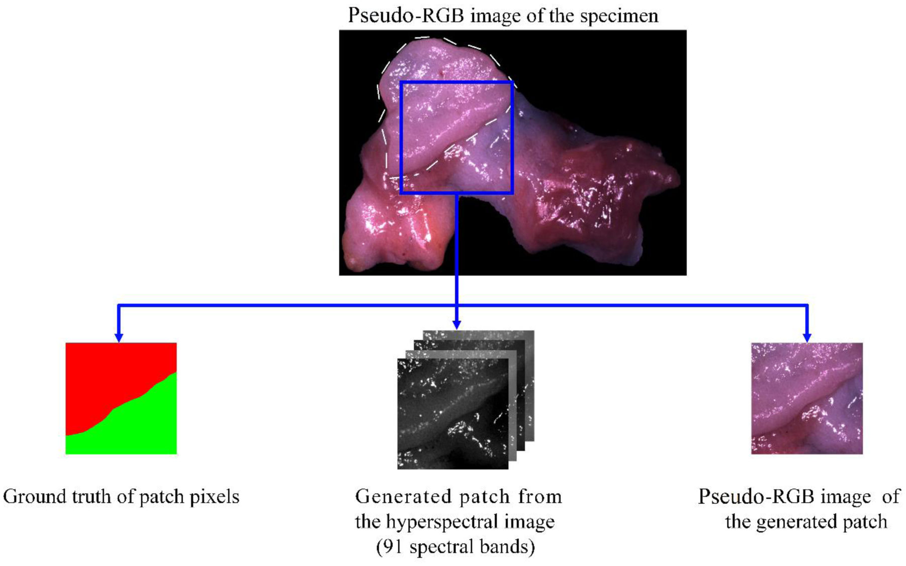 Figure 1.