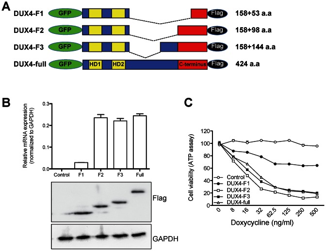 Figure 2.