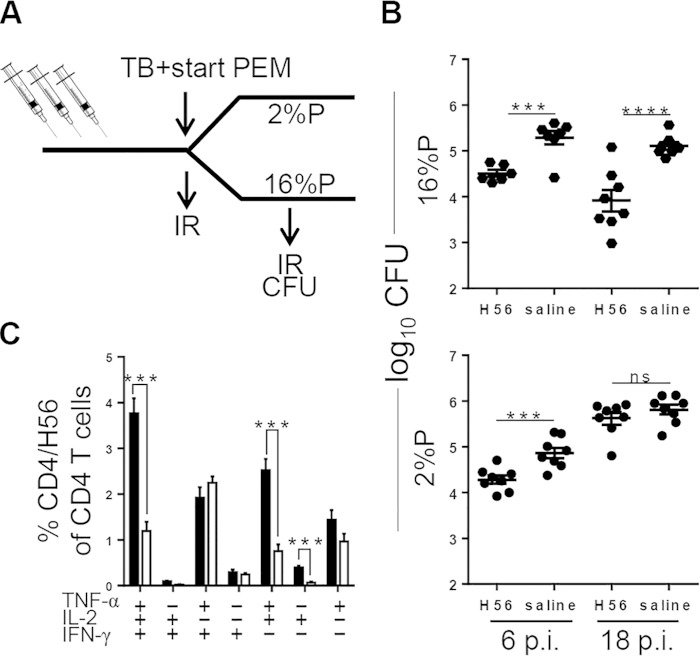 FIG 4