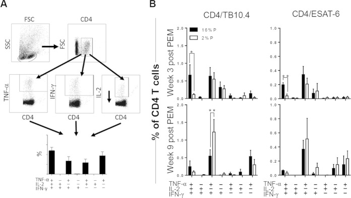 FIG 3