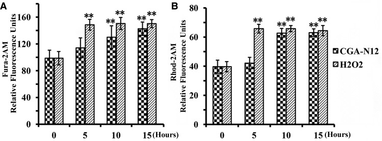 Figure 5.