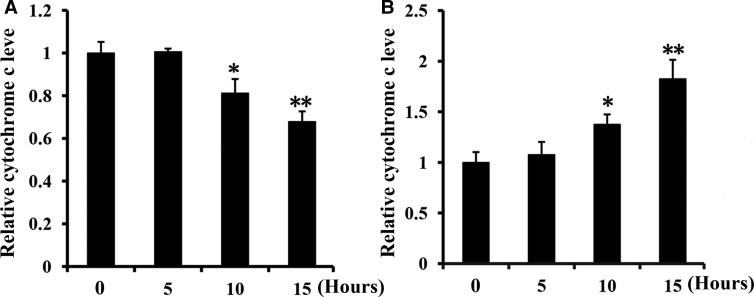 Figure 4.