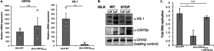 FIG 5