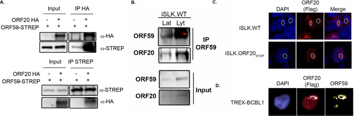 FIG 3