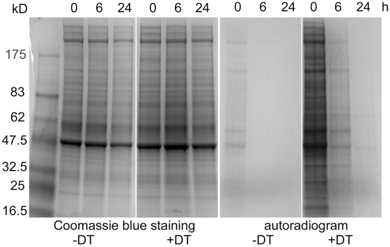 Fig 6