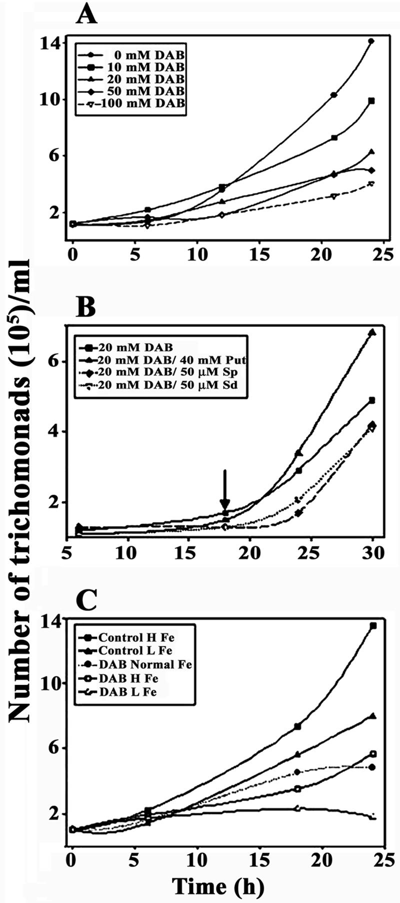 FIG. 1.