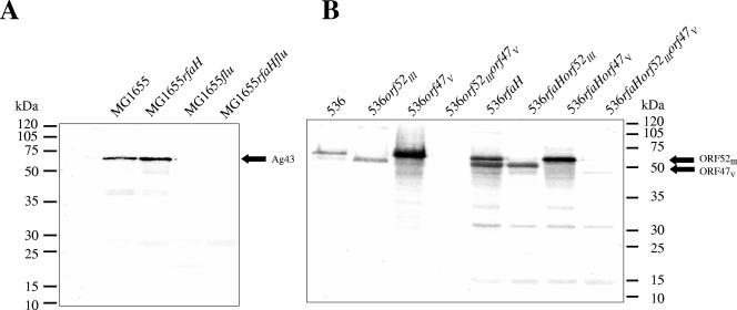 FIG. 5.