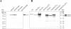 FIG. 5.