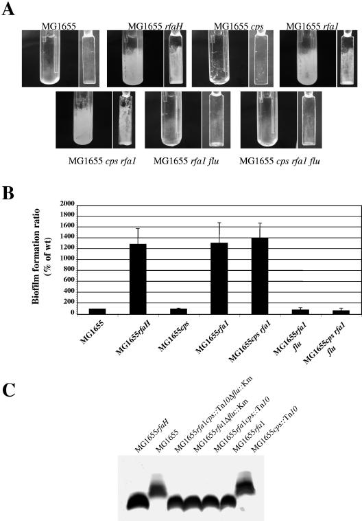 FIG. 7.