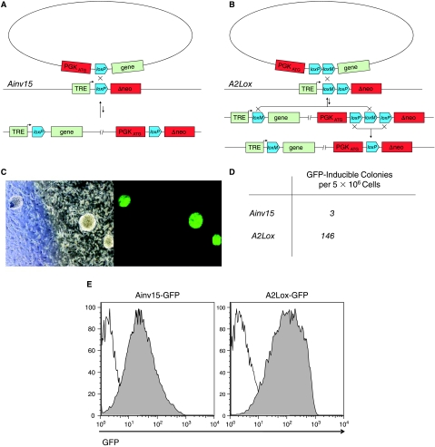 FIG. 2.