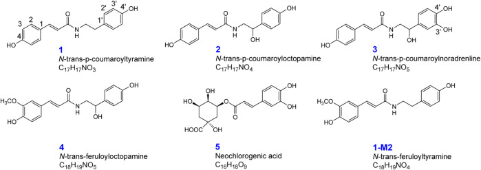 FIGURE 1