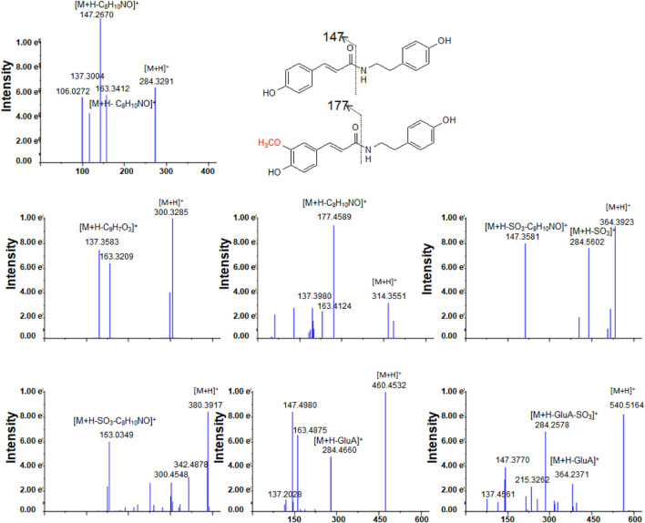 FIGURE 3