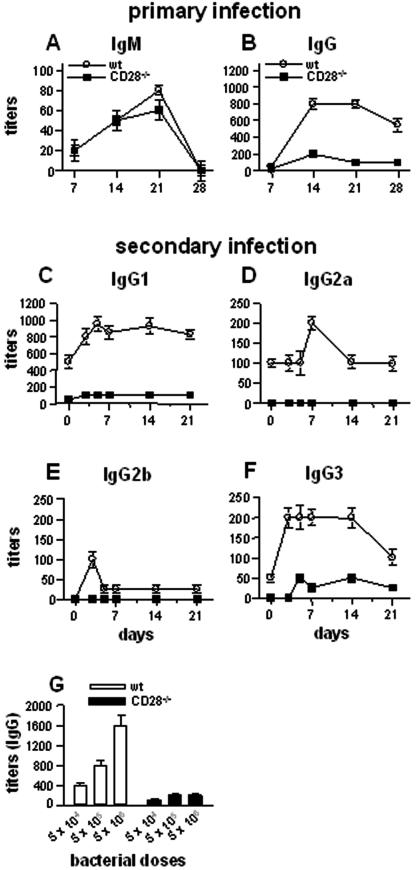 FIG.3.