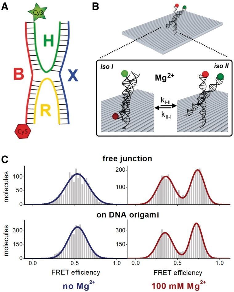 Figure 2.