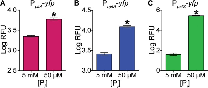 FIG 2