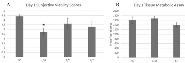 Figure 2 –