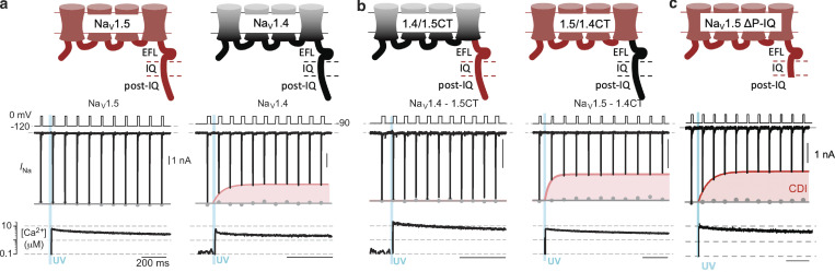 Figure 5.