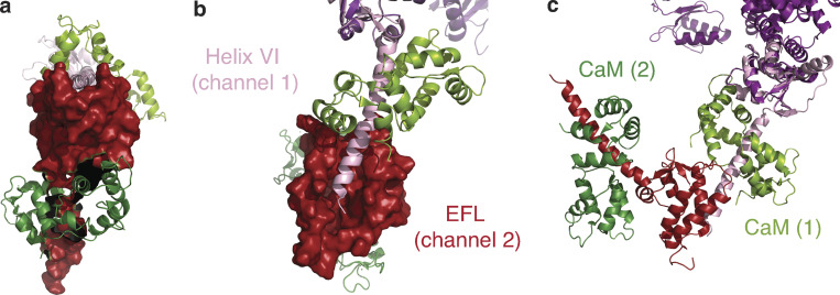 Figure 10.