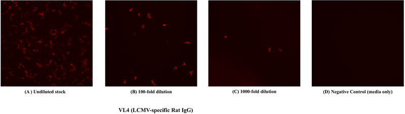 Figure 4.