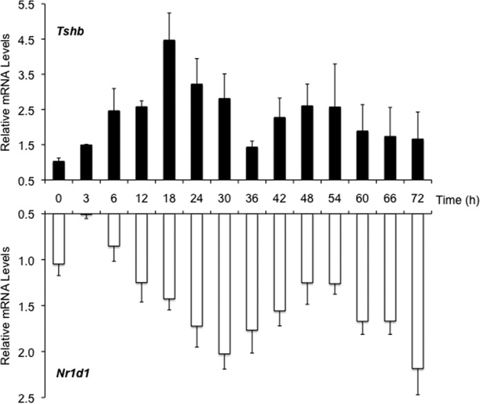 FIGURE 4.